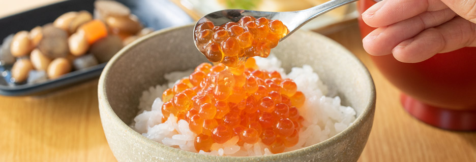 イクラ・さけ商品一覧