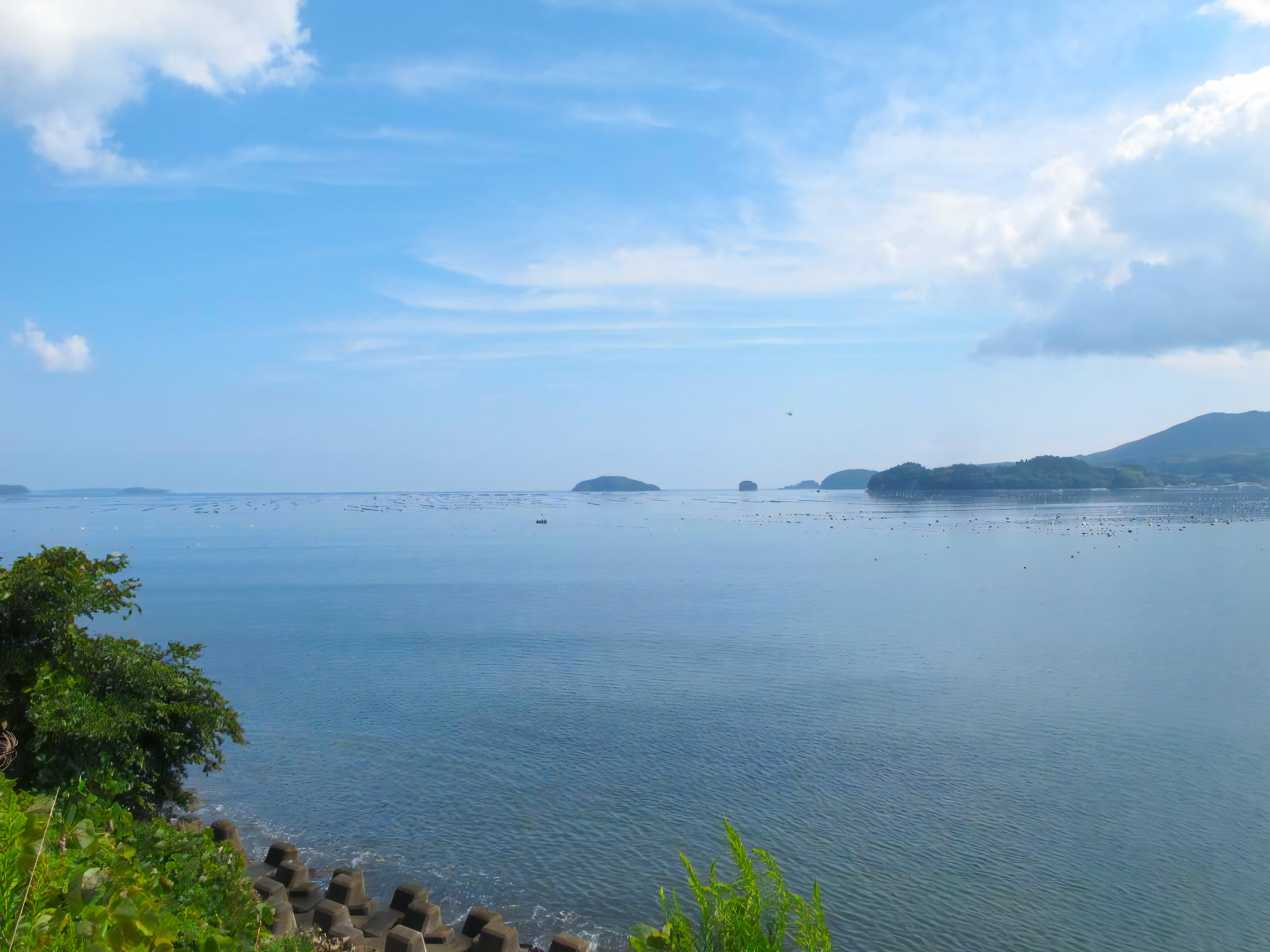 三陸のお魚はやっぱりおいしいね！