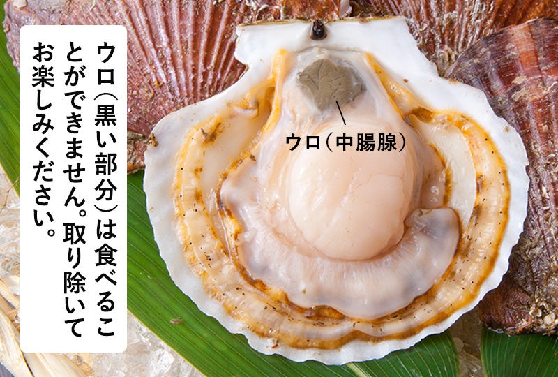 ウロ（黒い部分）は食べられません。