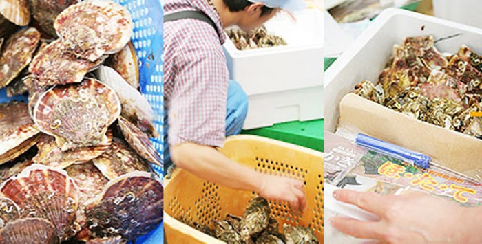 三陸産　殻付き　活ホタテ