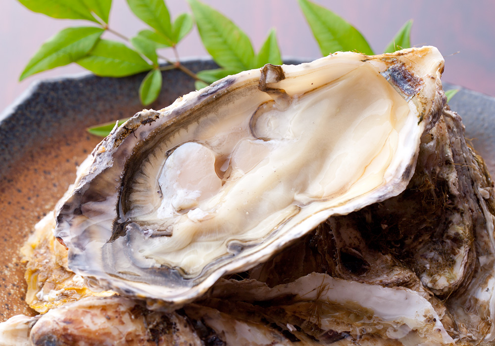 厳しい基準をクリアした牡蠣だけをお届け