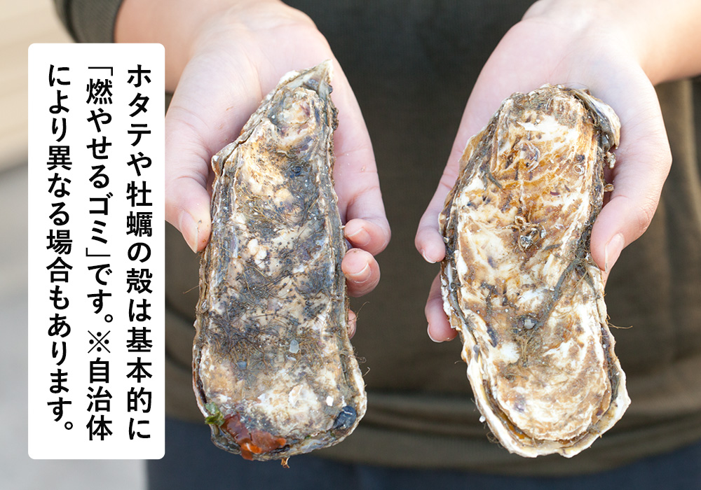 ホタテの殻は基本的に燃えるゴミです。