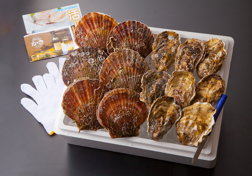 殻付きホタテ・牡蠣セット