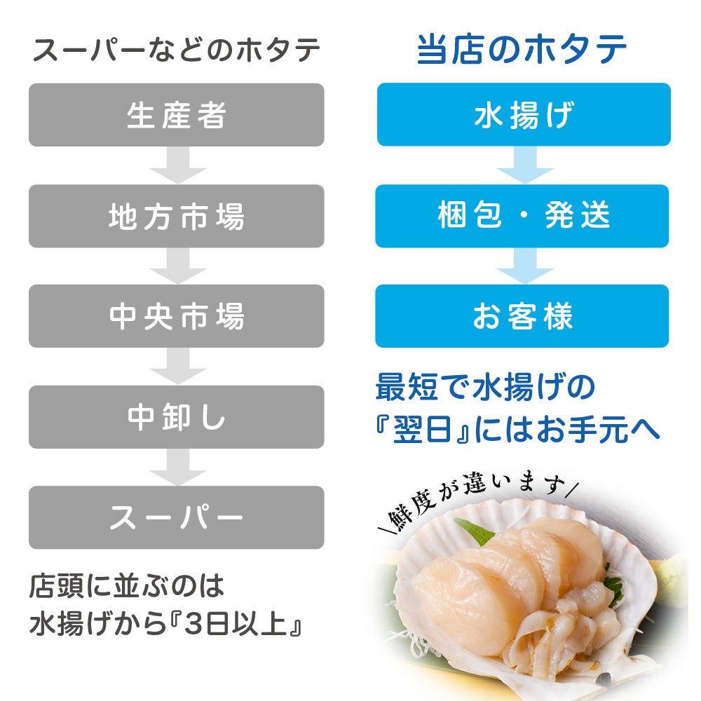 三陸産　殻付き　活ホタテ