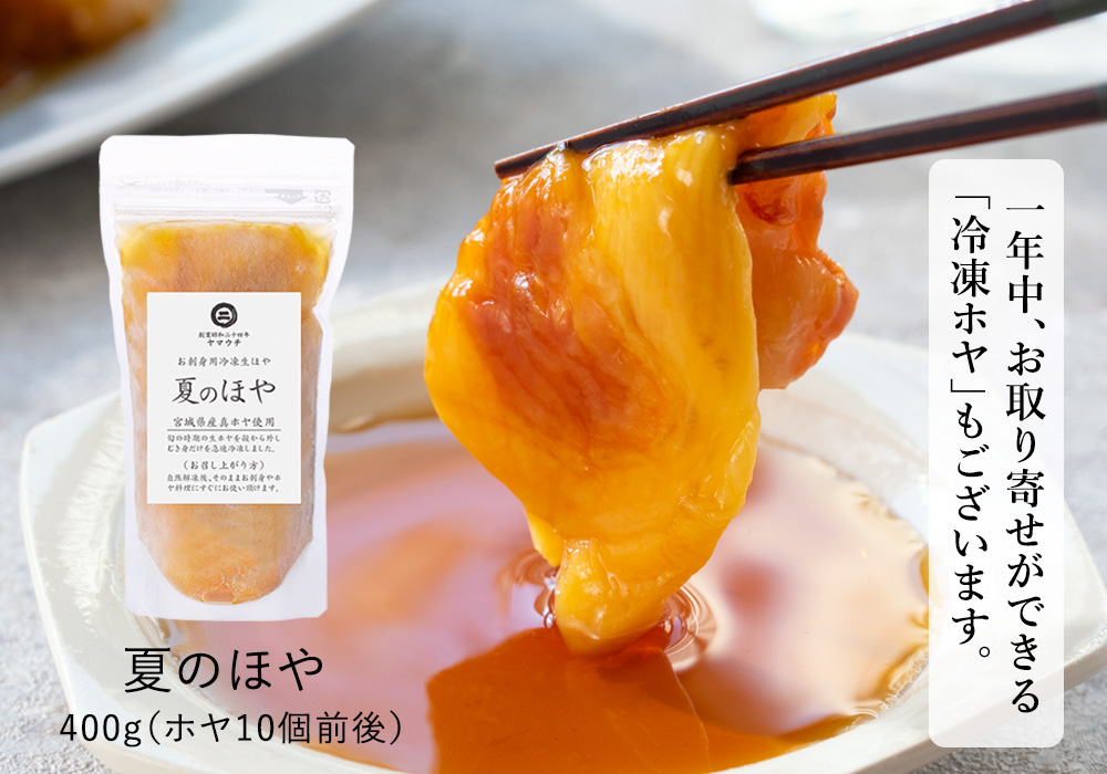 夏のほや　お刺身用　急速冷凍生ホヤ