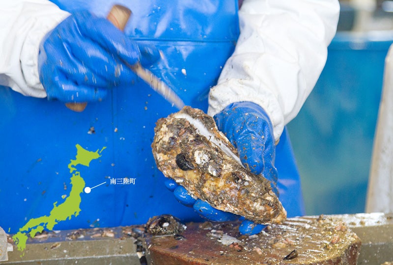 三陸牡蠣の名産地、南三陸内湾。