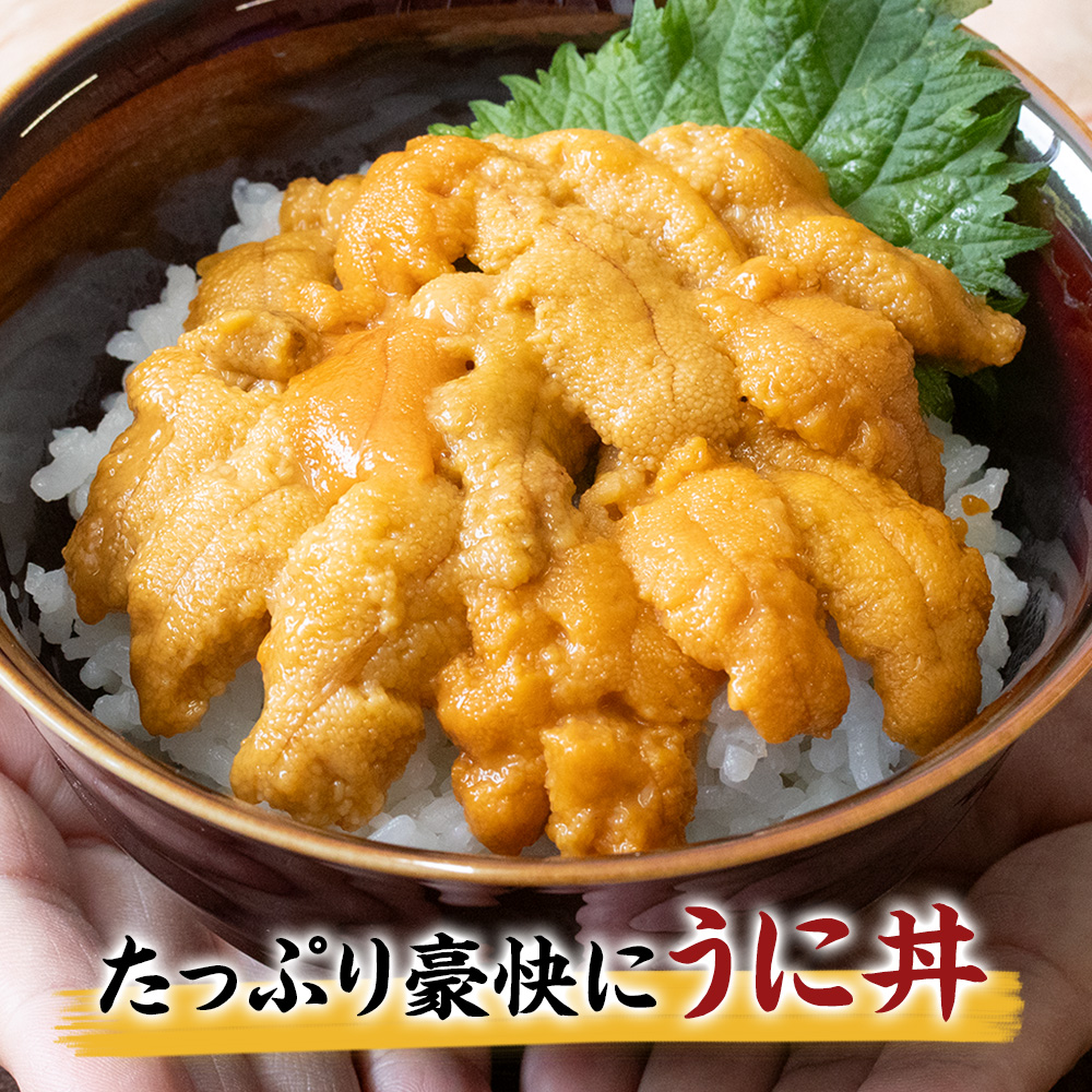 たっぷり豪快に　うに丼
