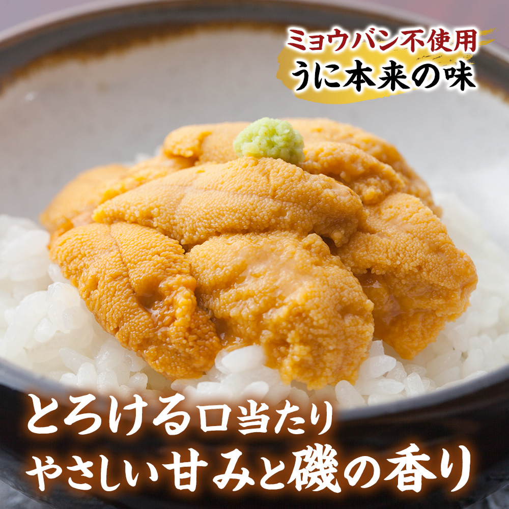 天然生うに