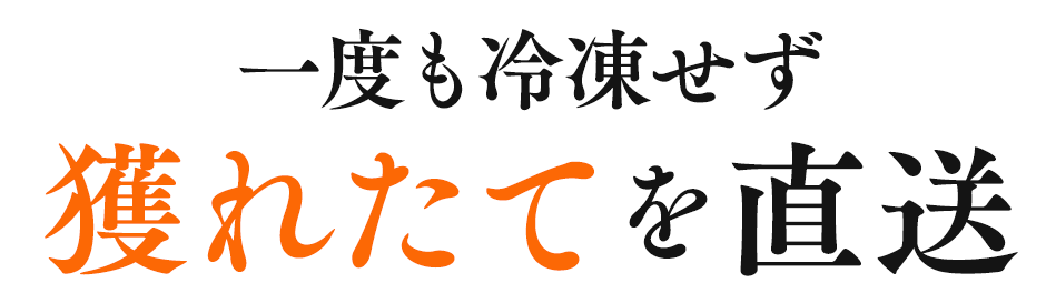 サブタイトル獲れたてを直送