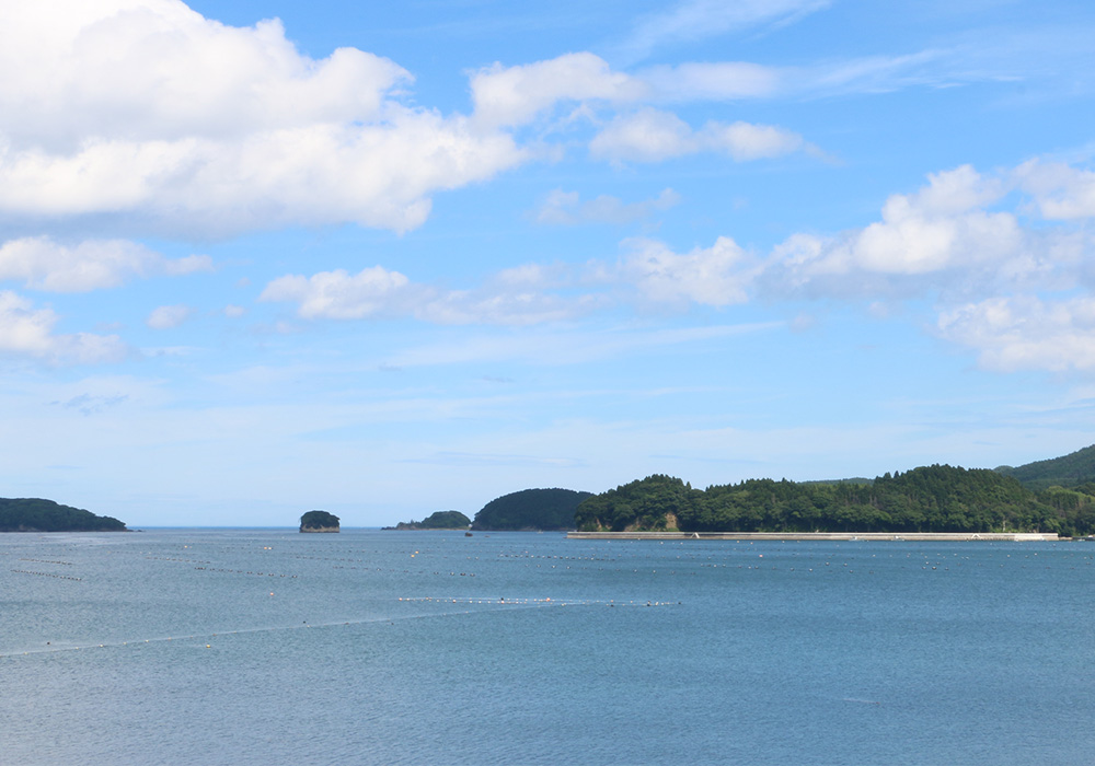 鮮魚店の、おまかせ鮮魚セット