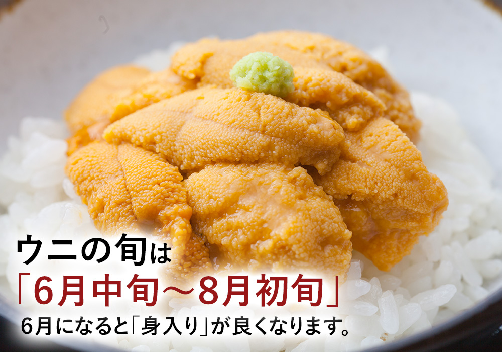 ウニの旬っていつ？