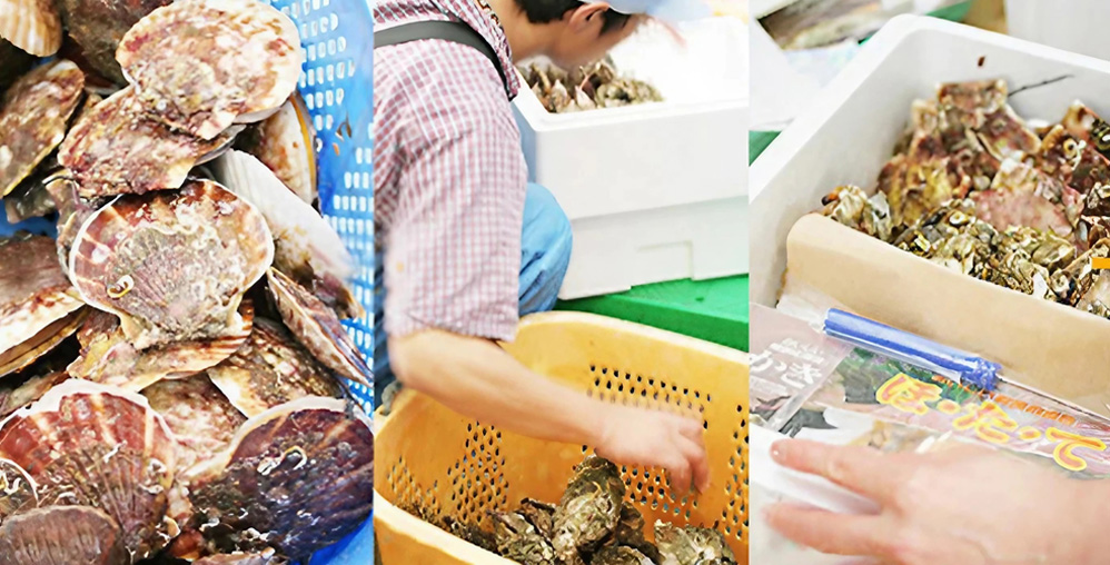 産地ならではのスピード発送！最短で翌日にご自宅へお届け