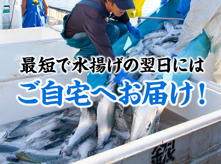 産地ならではのスピード発送！
					最短で翌日にご自宅へお届け