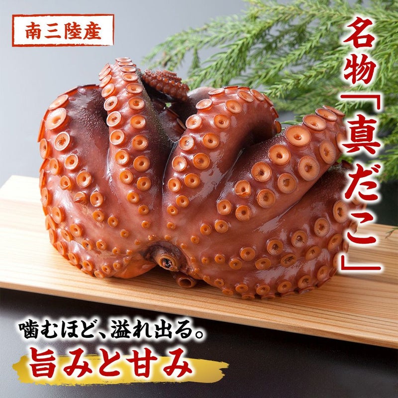 お刺身 真タコ(頭付き)|魚介類の通販 販売【山内鮮魚店】