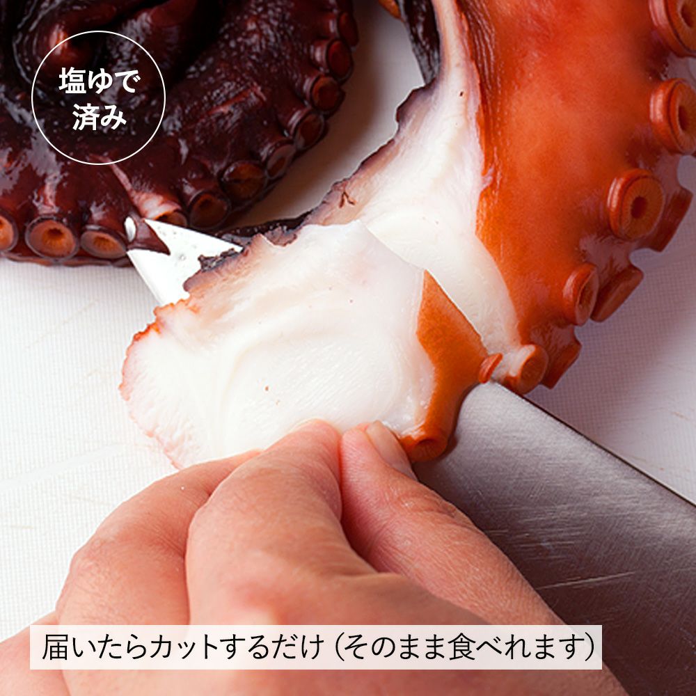 お刺身 真タコ（頭付き）｜魚介類の通販 販売【山内鮮魚店】