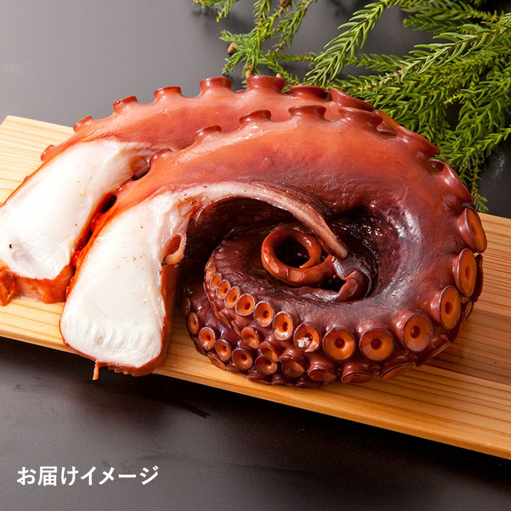 お刺身 水タコ 足｜魚介類の通販 販売【山内鮮魚店】
