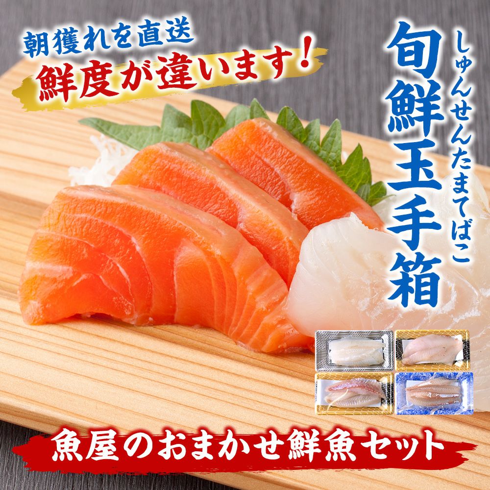 おまかせ鮮魚