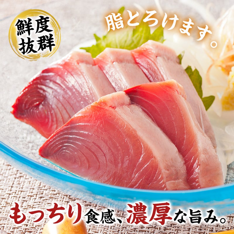 気仙沼産　釣りカツオ 刺身