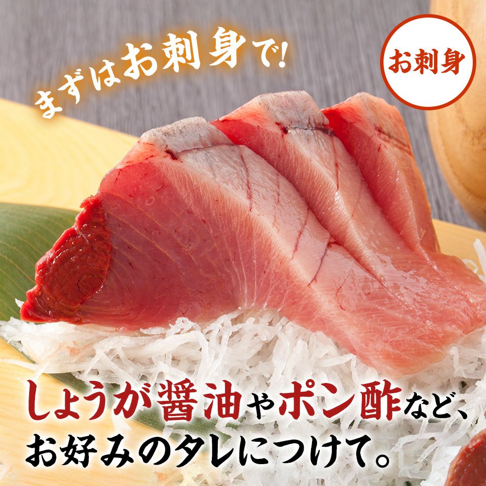 脂のりのり「カツオのお刺身」