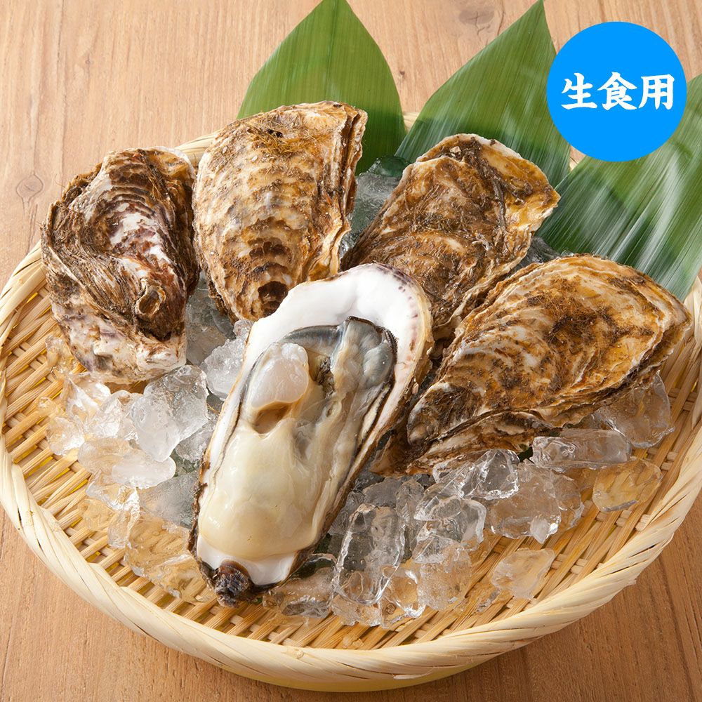 生食用】三陸産『殻付牡蠣(カキ)』｜魚介類の通販 販売【山内鮮魚店】