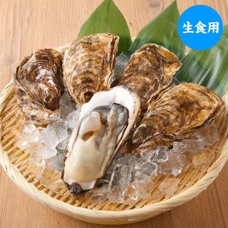 【生食用】三陸産『殻付牡蠣(カキ)』｜魚介類の通販 販売【山内鮮魚店】