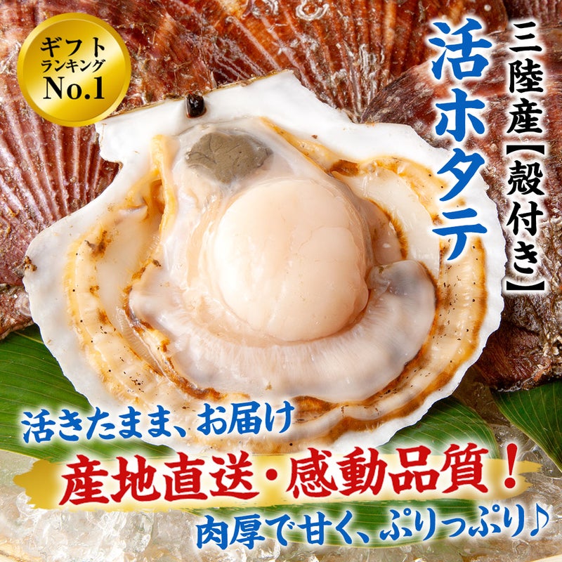 三陸産 殻付き活ホタテ