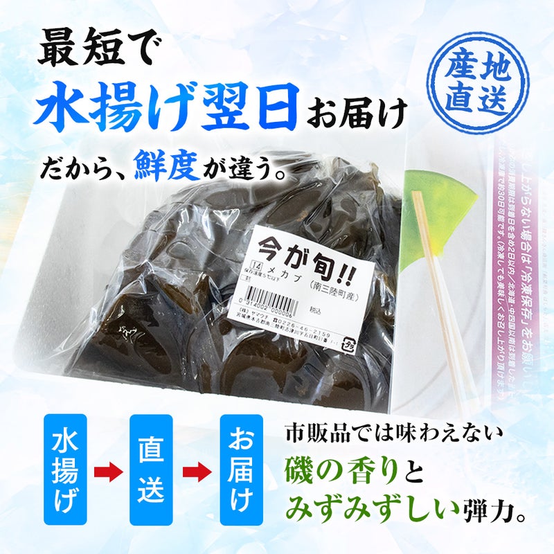 三陸産 生めかぶ