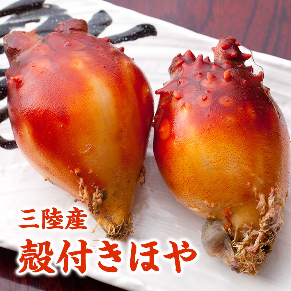 三陸産　殻付き生ホヤ