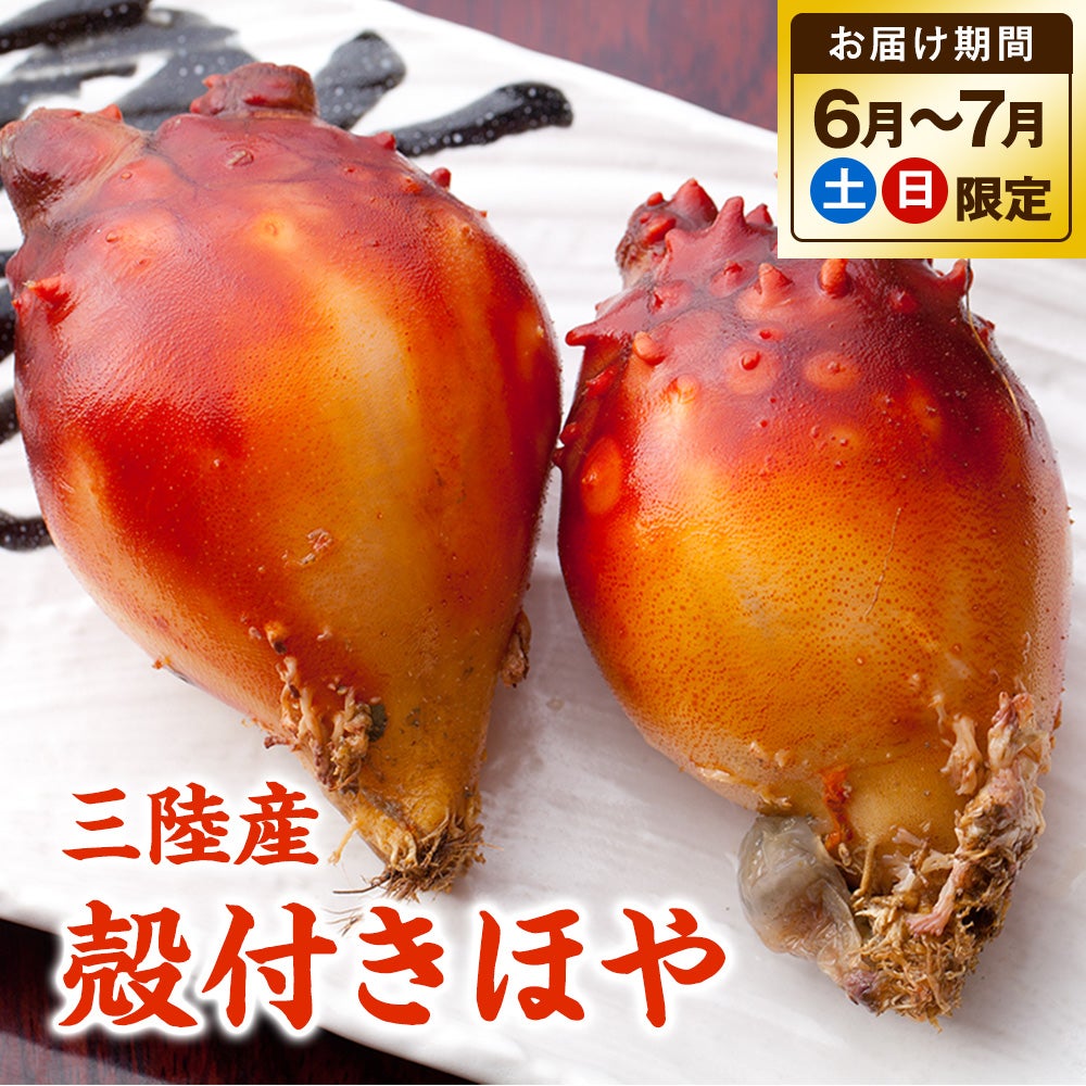 三陸産　殻付き生ホヤ