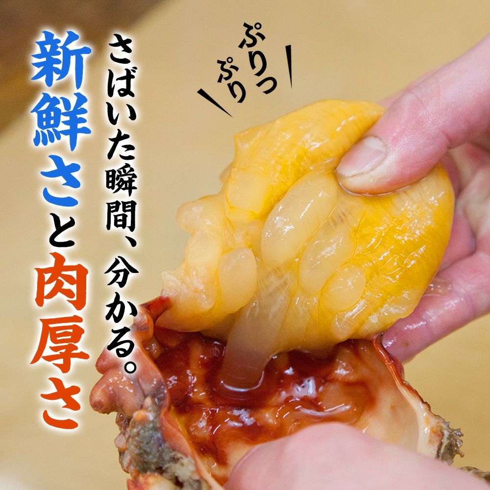 土日お届け限定】三陸産 殻付生ほや ｜ホヤの通販なら山内鮮魚店