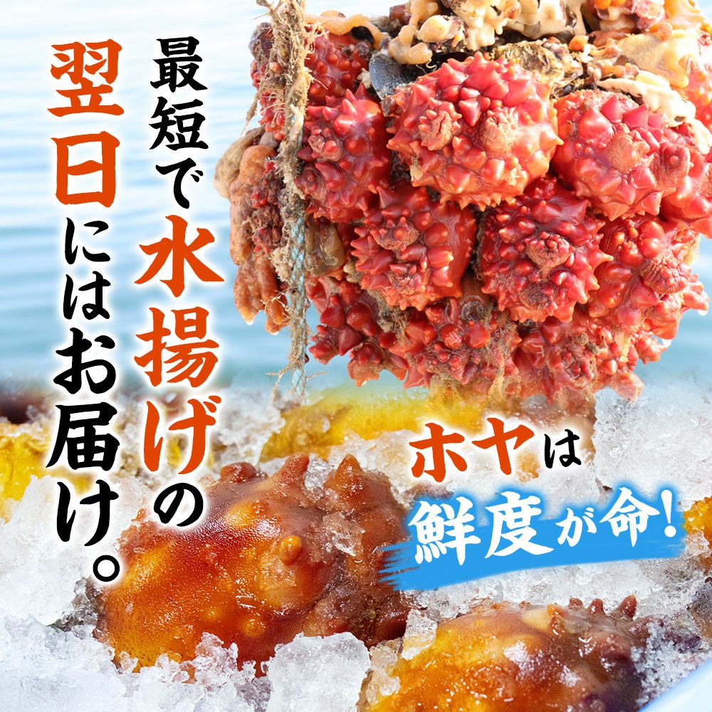 最短で水揚げの翌日にはお届け。