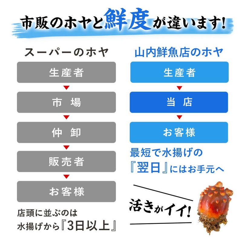 三陸産　殻付き生ホヤ