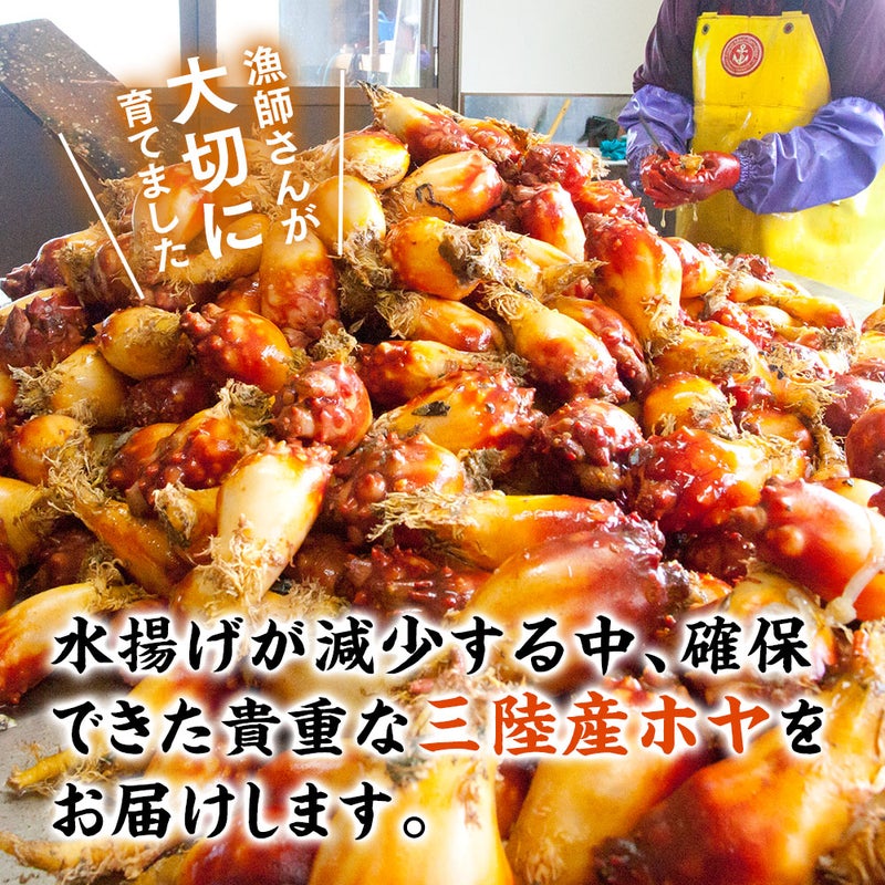 三陸産　殻付き生ホヤ