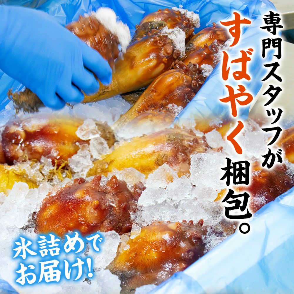 市販のホヤとは鮮度が違います。