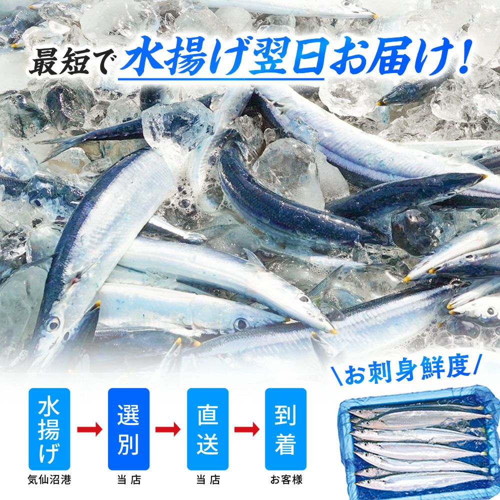 土日お届け限定】気仙沼産「極上生さんま」10~20尾（約1.3~2.6kg