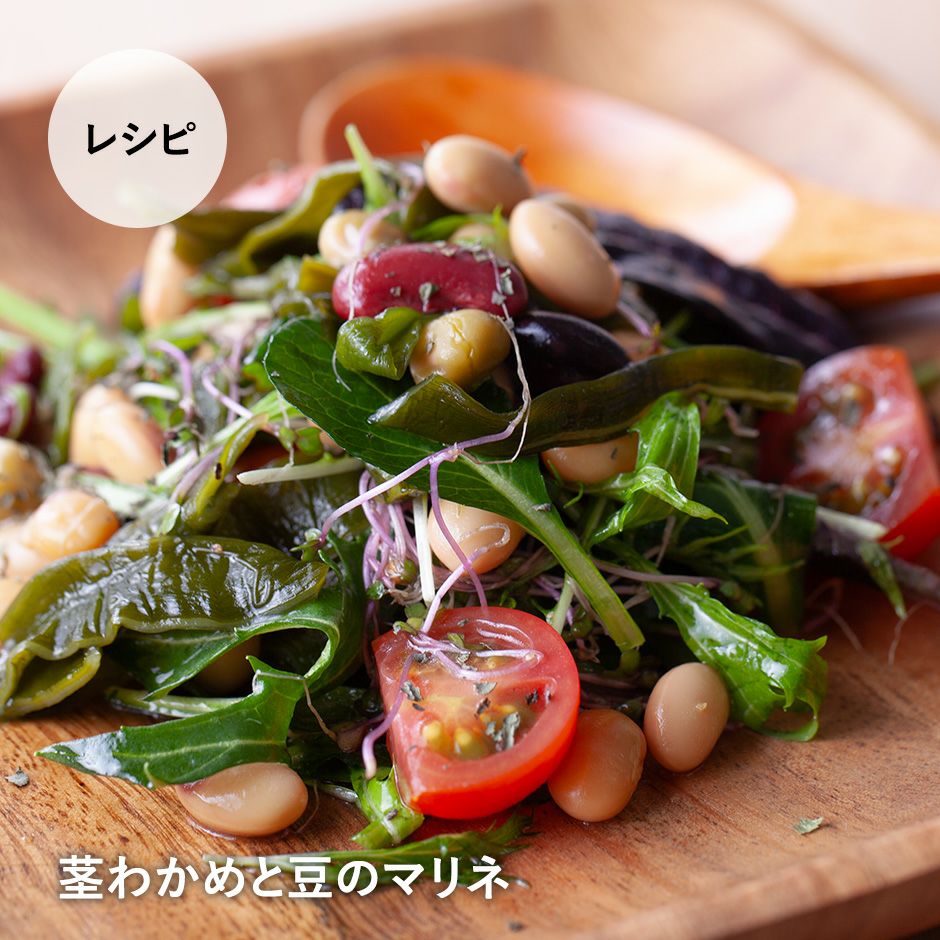 三陸産 茎わかめ｜ワカメの通販 販売【山内鮮魚店】