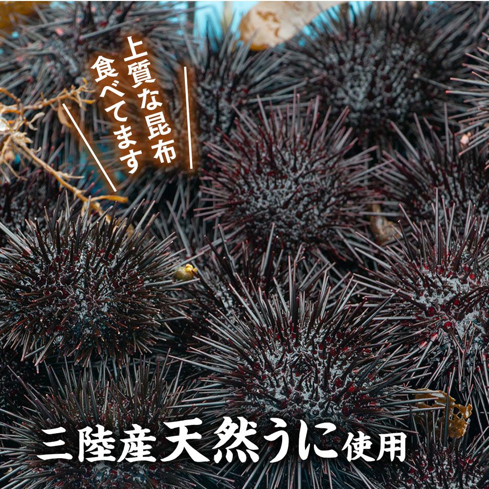 焼うにみそ 80g 瓶入り｜魚介類の通販 販売【山内鮮魚店】