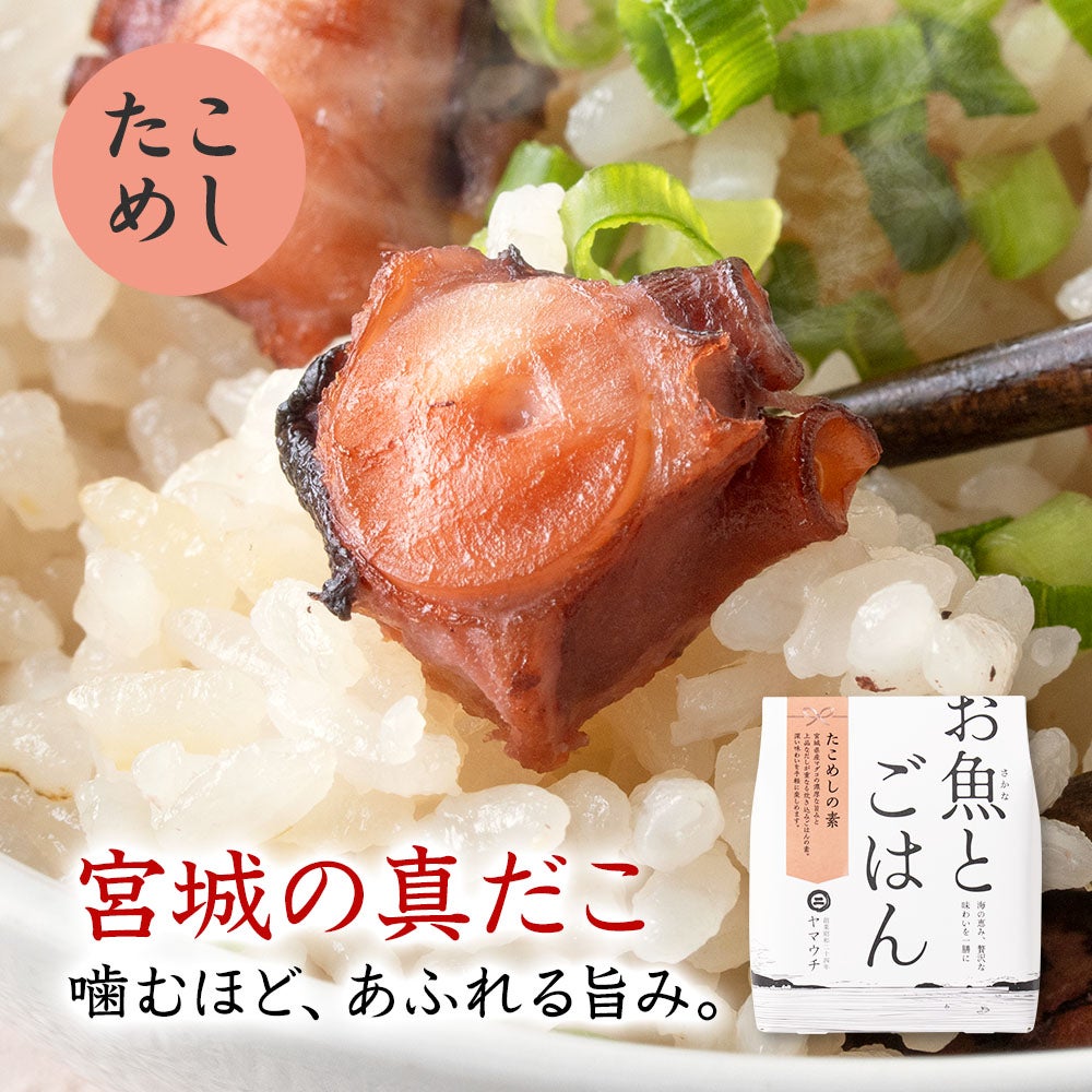 たこめしの素
