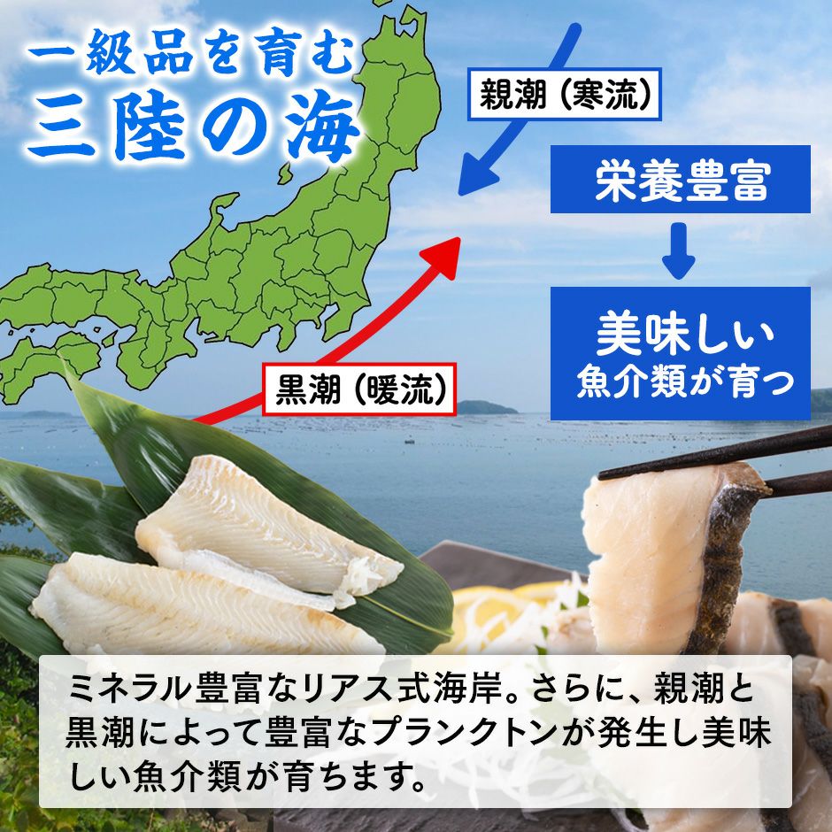 【お刺身用 冷凍】ヒラメ・さわらタタキ2種セット《クール冷凍発送》